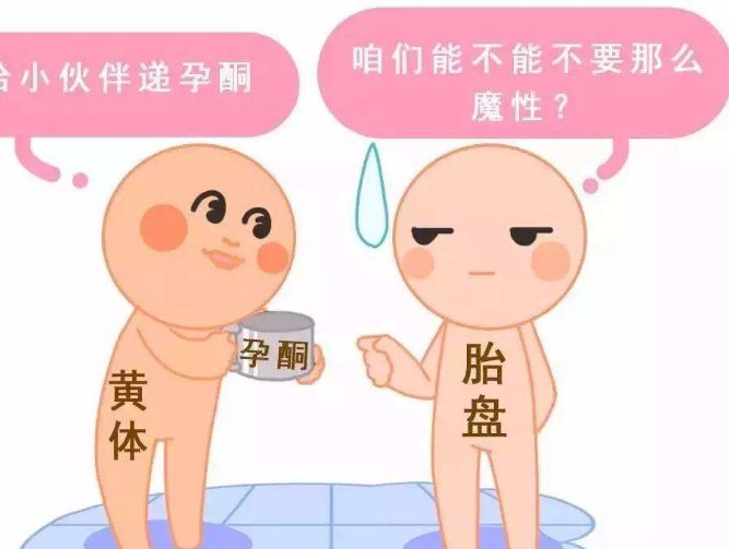 丰台区高性价比医院推荐，揭秘北京三代试管优惠医疗机构