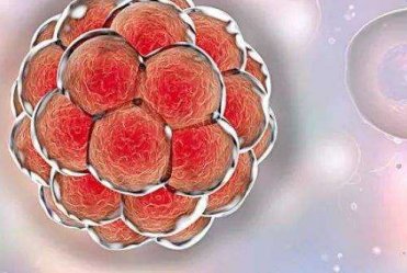 三代试管婴儿贵吗？三代试管婴儿价格表正式公布