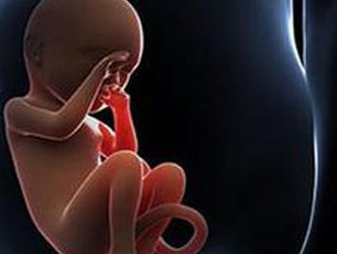 2026年清远办三代试管婴儿三代价格表